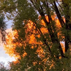 Meet your Posher, Céline